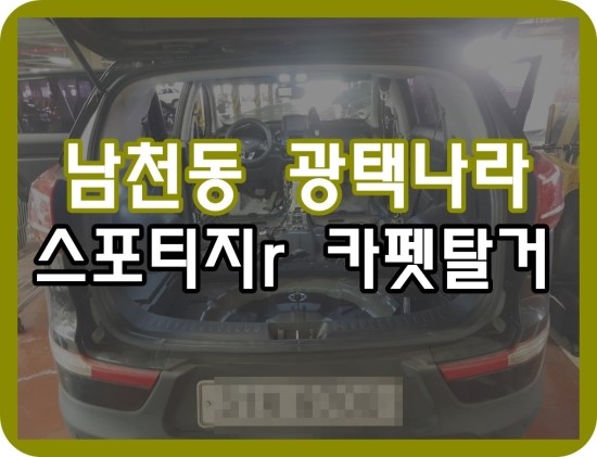 광택나라 이미지