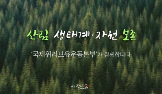 푸른바다유 이미지