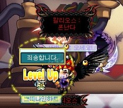 지그나인 이미지