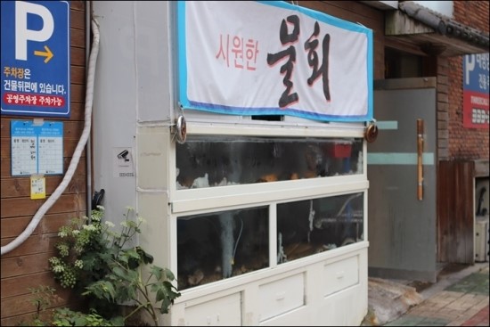 태평양회집 이미지
