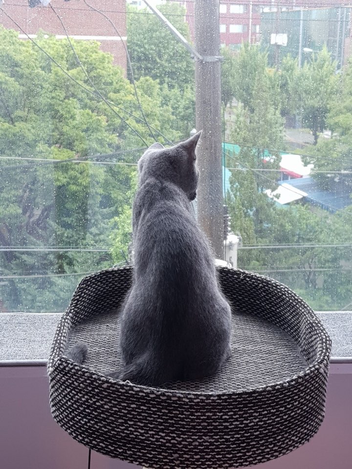 호텔루이 이미지
