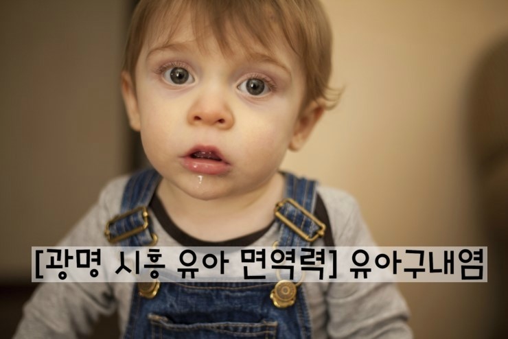 아이누리(금천,광명) 이미지