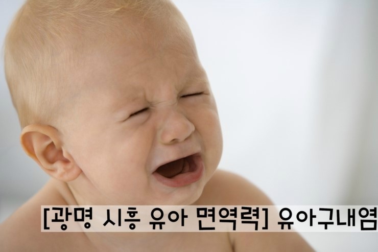 아이누리(금천,광명) 이미지