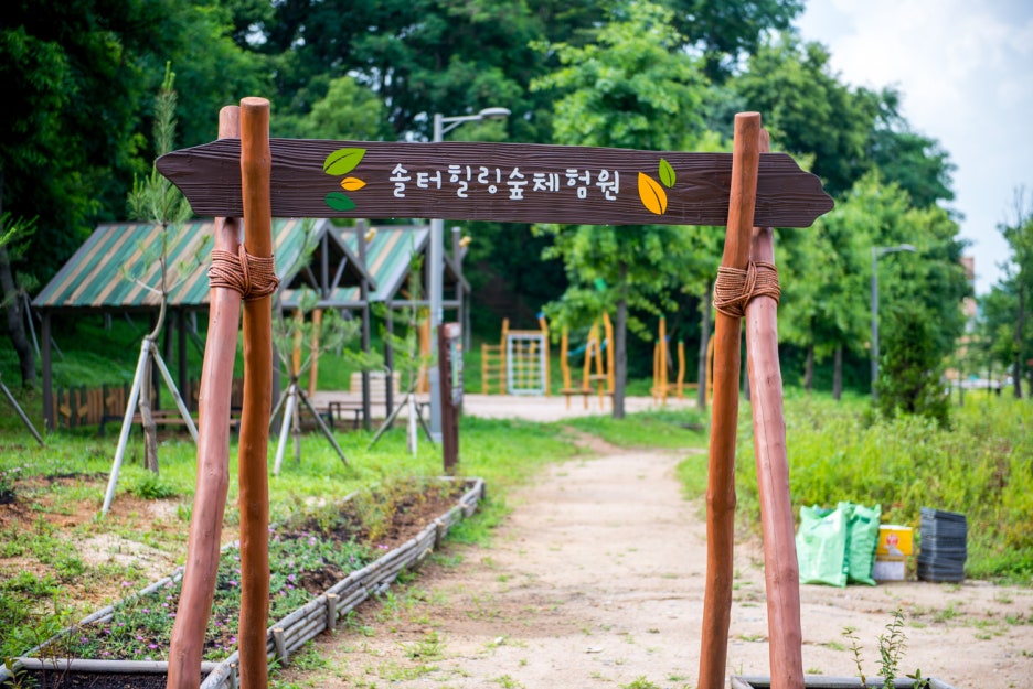 솔터힐링 숲체험원 이미지