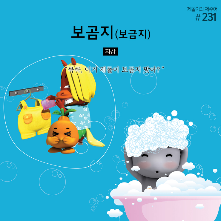 보금지 이미지