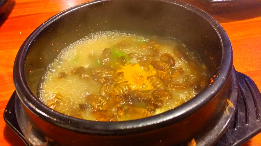 놀이터호프집 이미지