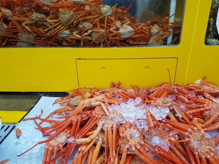 일산수산물시장 이미지
