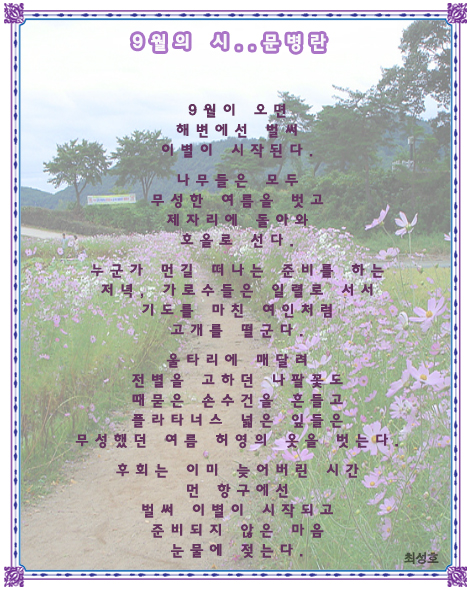 시티툴 이미지