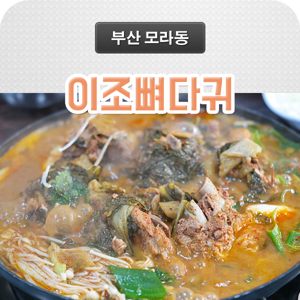 이조뼈다귀 이미지