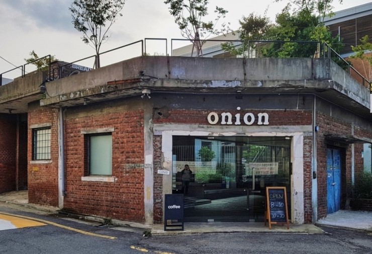 어니언(ONION) 이미지