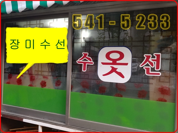 장미수선 이미지