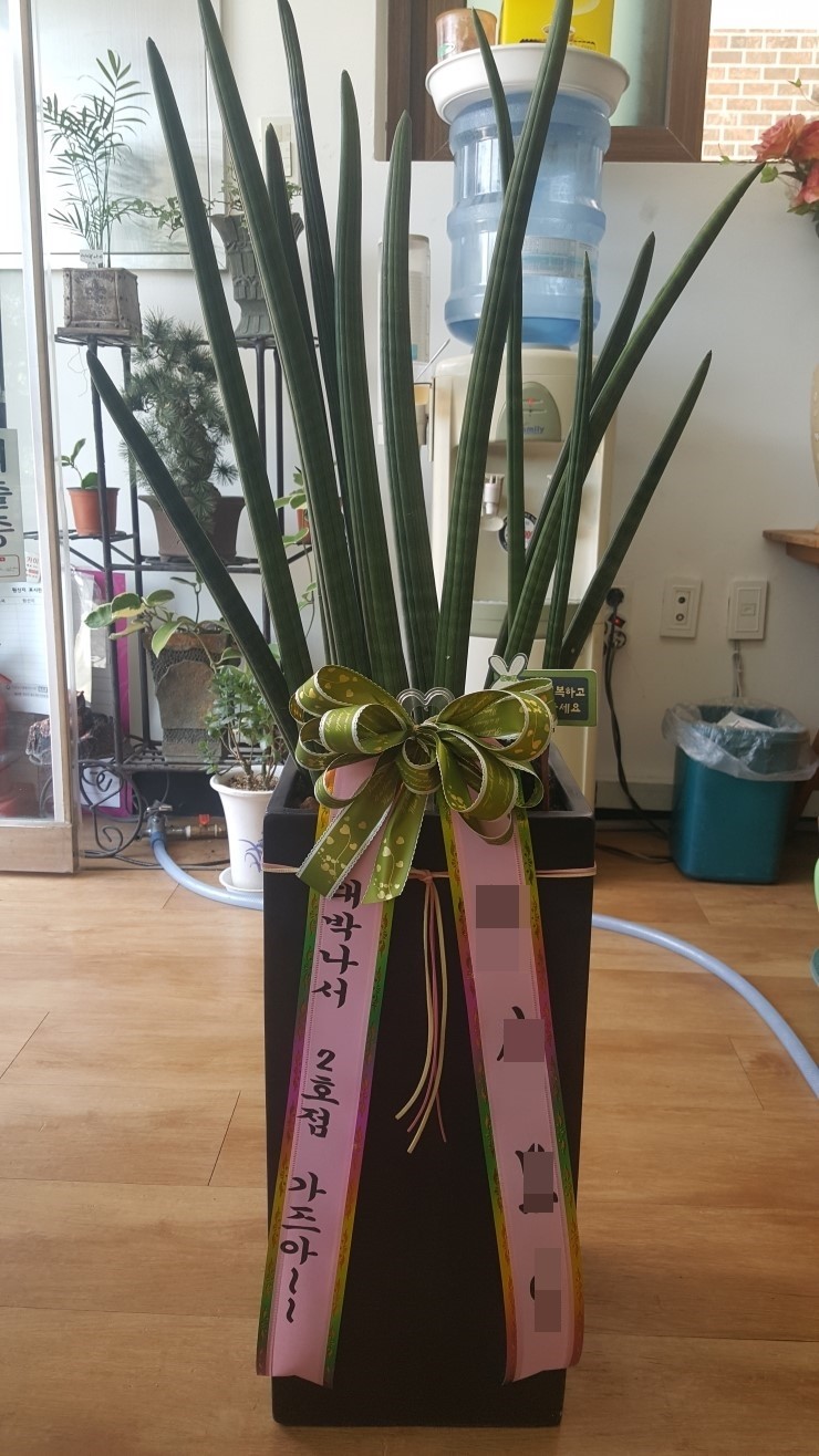 파리바겟트 이미지