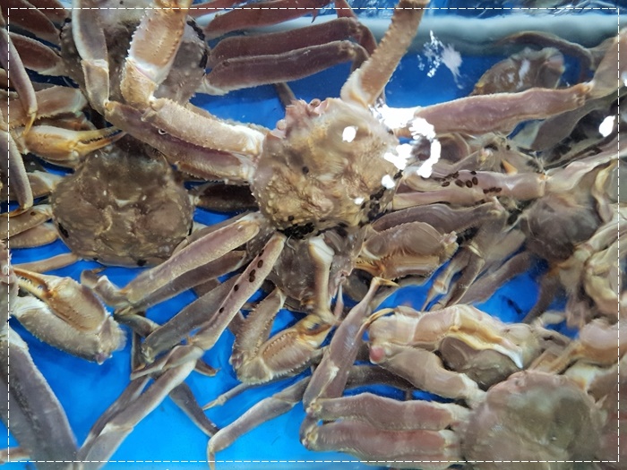 유진유통 이미지