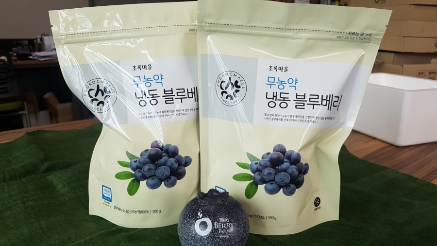 (주)블루베리코리아 이미지