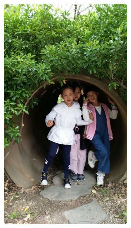 신광초등학교 이미지