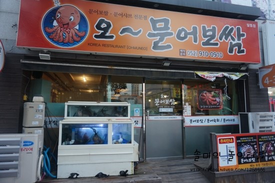 오문어 이미지