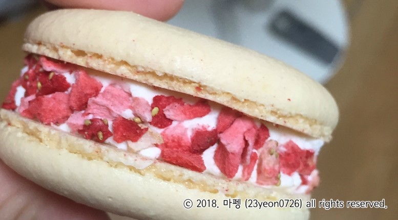 달롱가 이미지