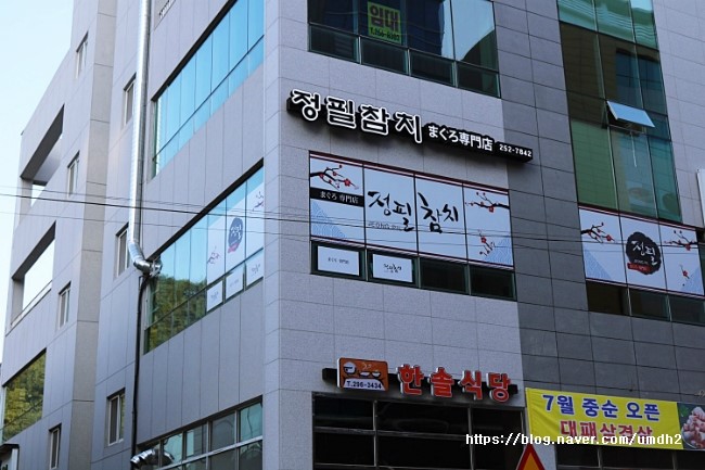 정필참치 이미지