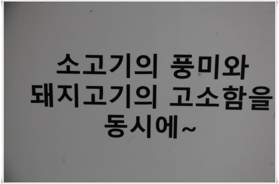 눈꽃돼지 이미지