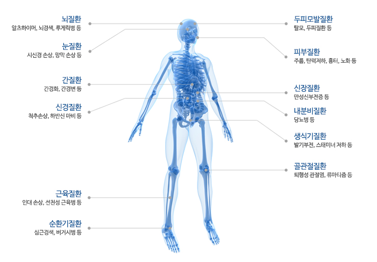 이에이치엘 이미지
