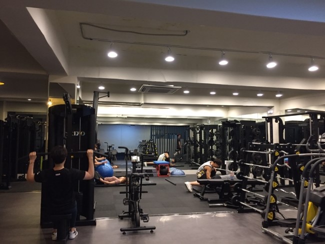 디짐퍼스널트레이닝 이미지