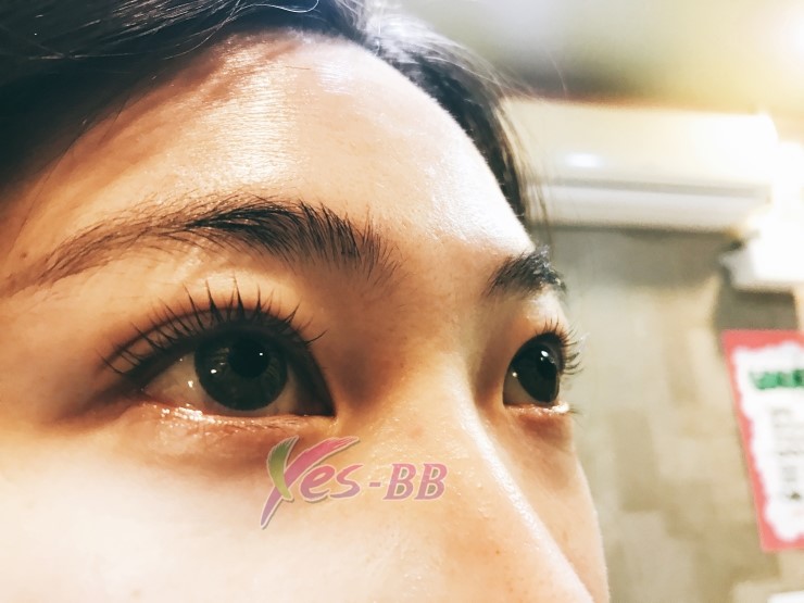 예스비비 이미지