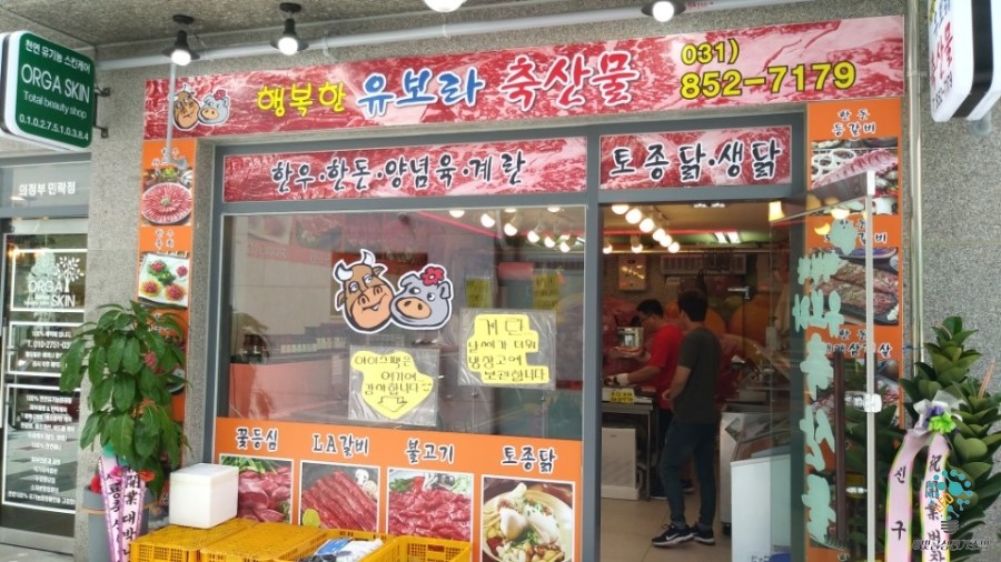 금성조명전기 이미지