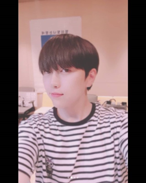 브이비엘 이미지