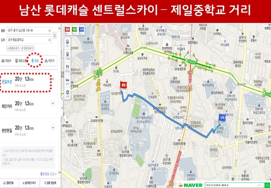 센트럴투어 이미지