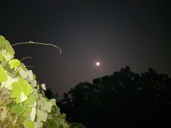 구룡산정상 조망대 이미지
