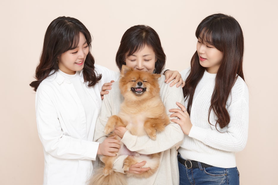 비원스튜디오 이미지