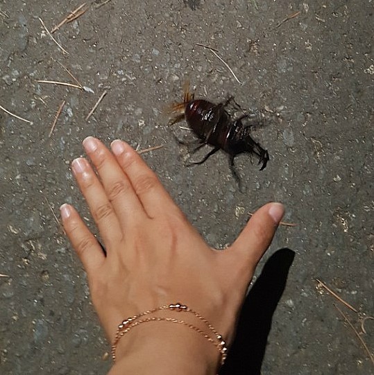 산들바람찐빵 이미지