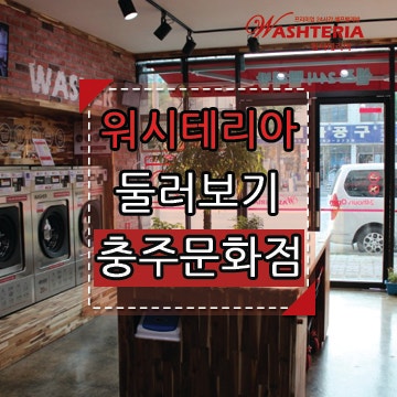 워시테리아충주 이미지