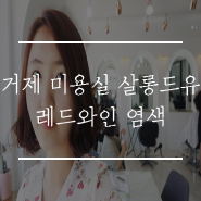 살롱드유 이미지