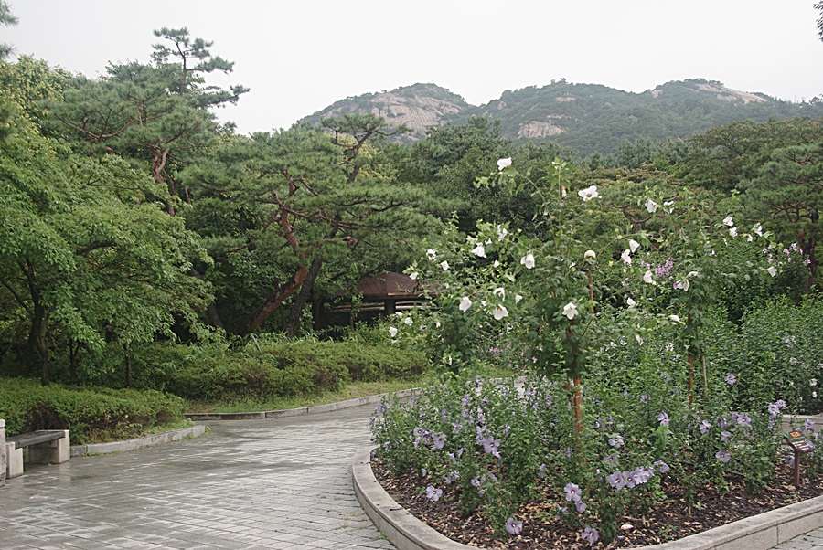 동산여관 이미지