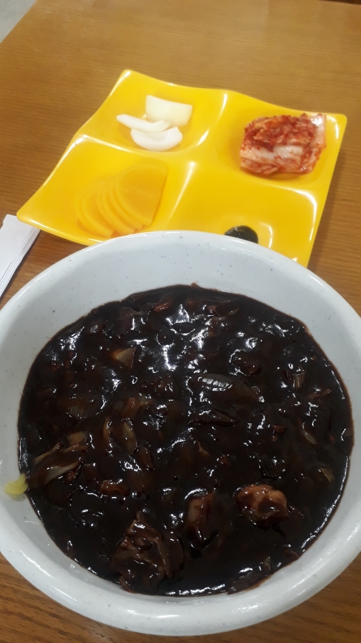 선운갈매기 이미지