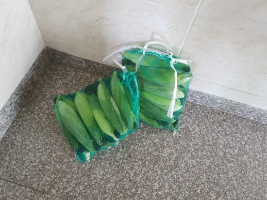 행복옥수수 이미지