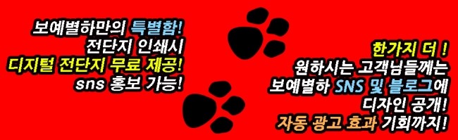 솔로몬코딩학원 이미지