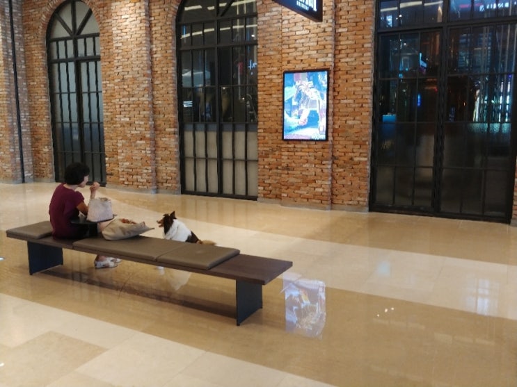배고파스타 이미지