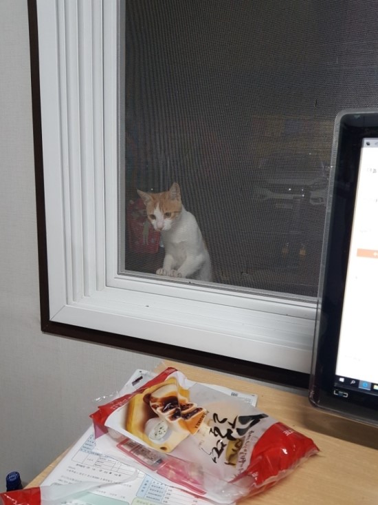 밀양테마펜션 이미지