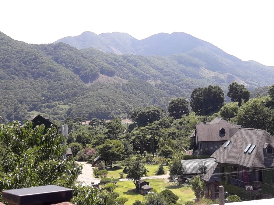 천상제일교회 이미지