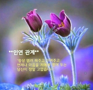 명원세계차박람회 이미지