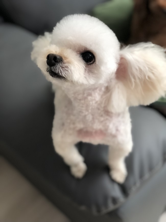 예쁜너를위한 이미지