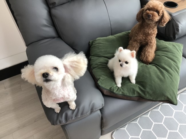 예쁜너를위한 이미지