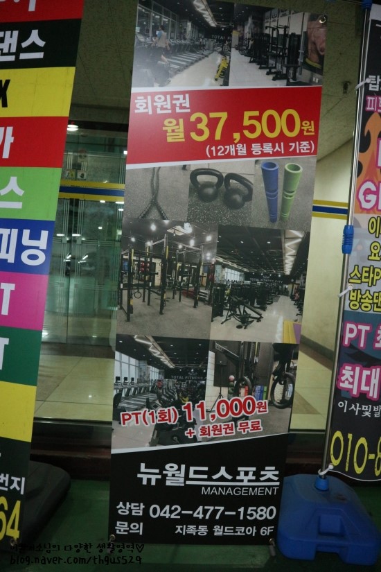 뉴월드스포츠 이미지