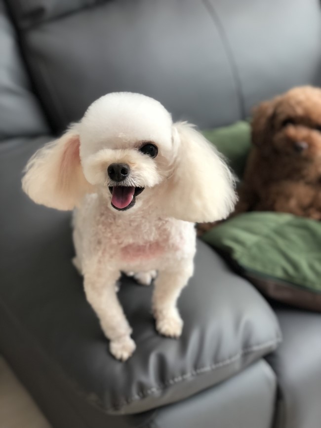 예쁜너를위한 이미지