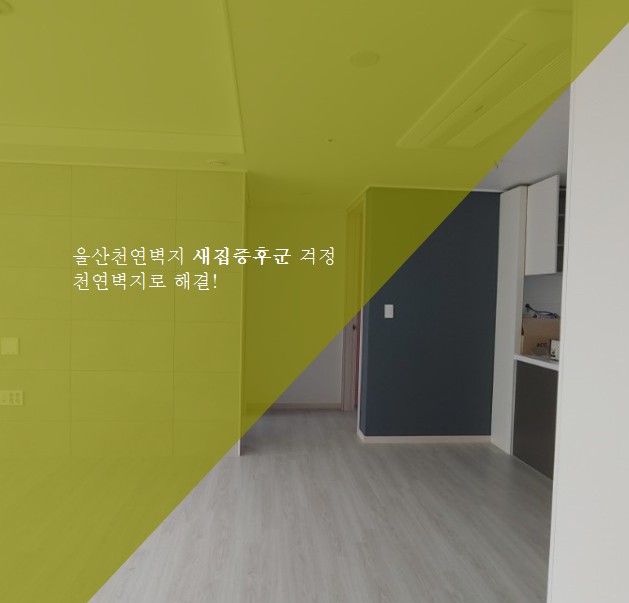 우성갤러리 이미지