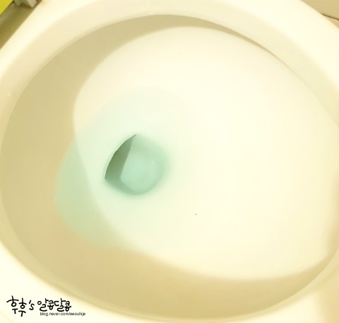 이푸른환경 이미지