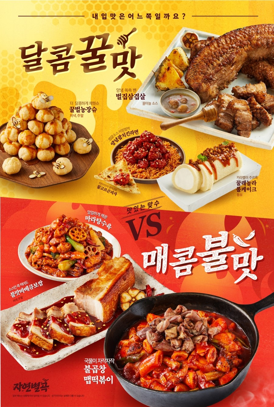 수 자연 이미지