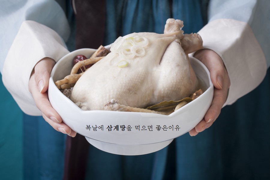 삼복삼계탕추어탕 이미지